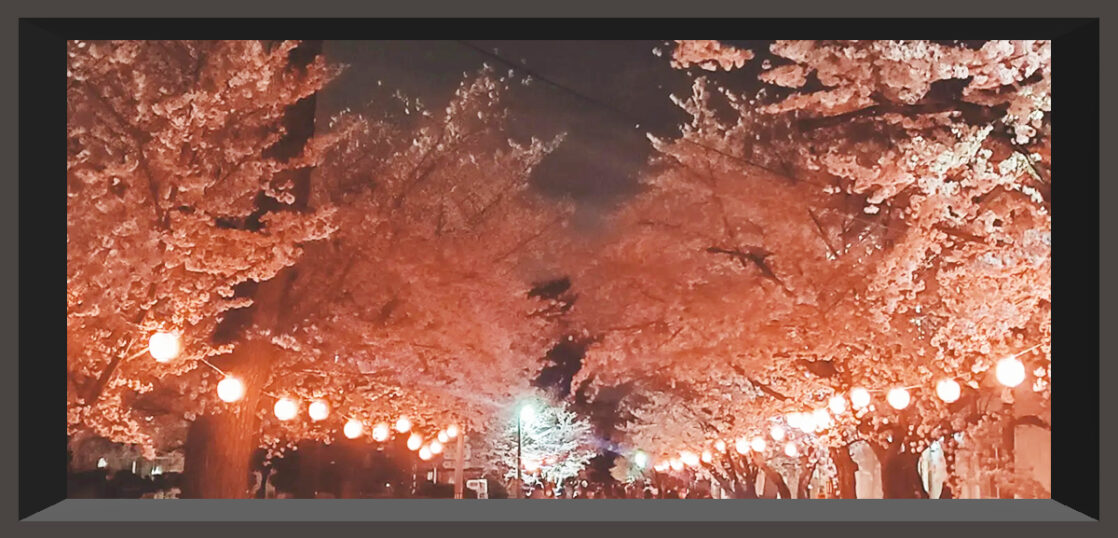 自衛隊の桜まつり